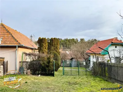 FILM! Oaza ta de liniste pe 0.5ha teren intravilan, Dalnic, Covasna - foto 12
