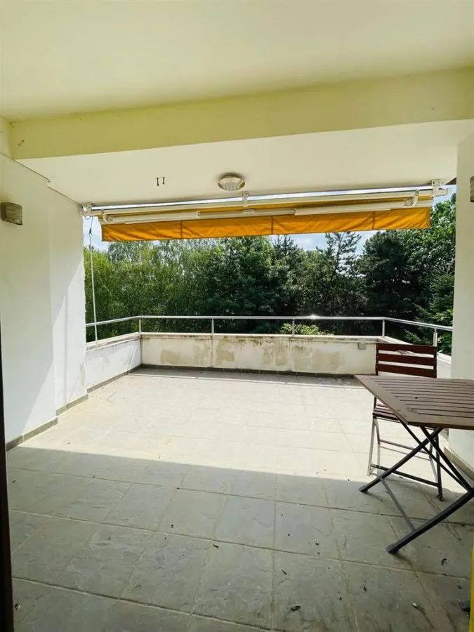 Vanzare Casa Vila cu piscina gradina 2500 mp Pipera - foto 23