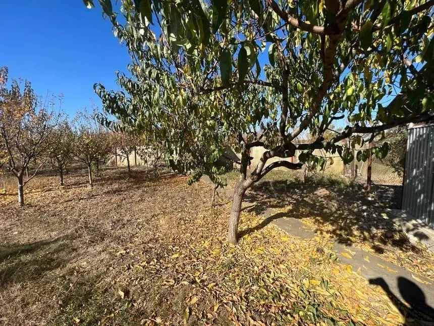 VANZARE VILA INDIVIDUALA | CASA DE VACANTA PRAHOVA PREDESTI TEREN 1000 mp - foto 13