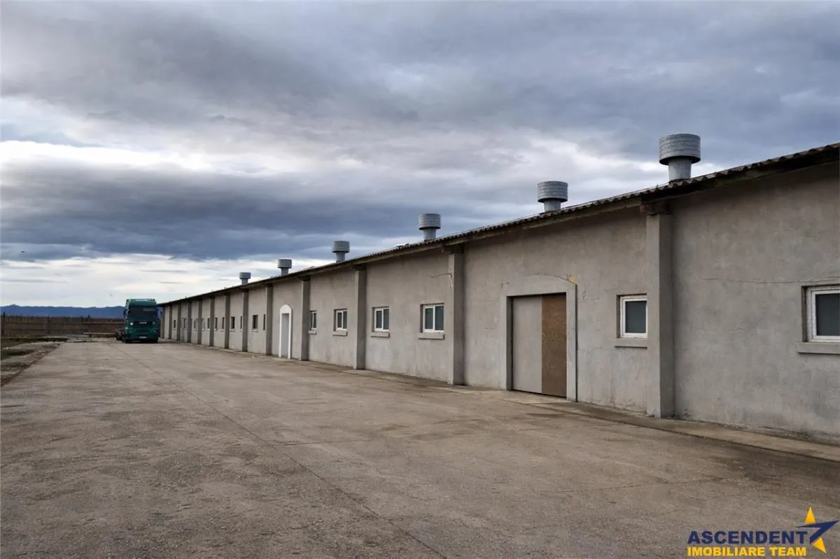 Hala industriala versatila,spatii cazare, platforma betonata,2.300 mp,Halchiu - foto 1