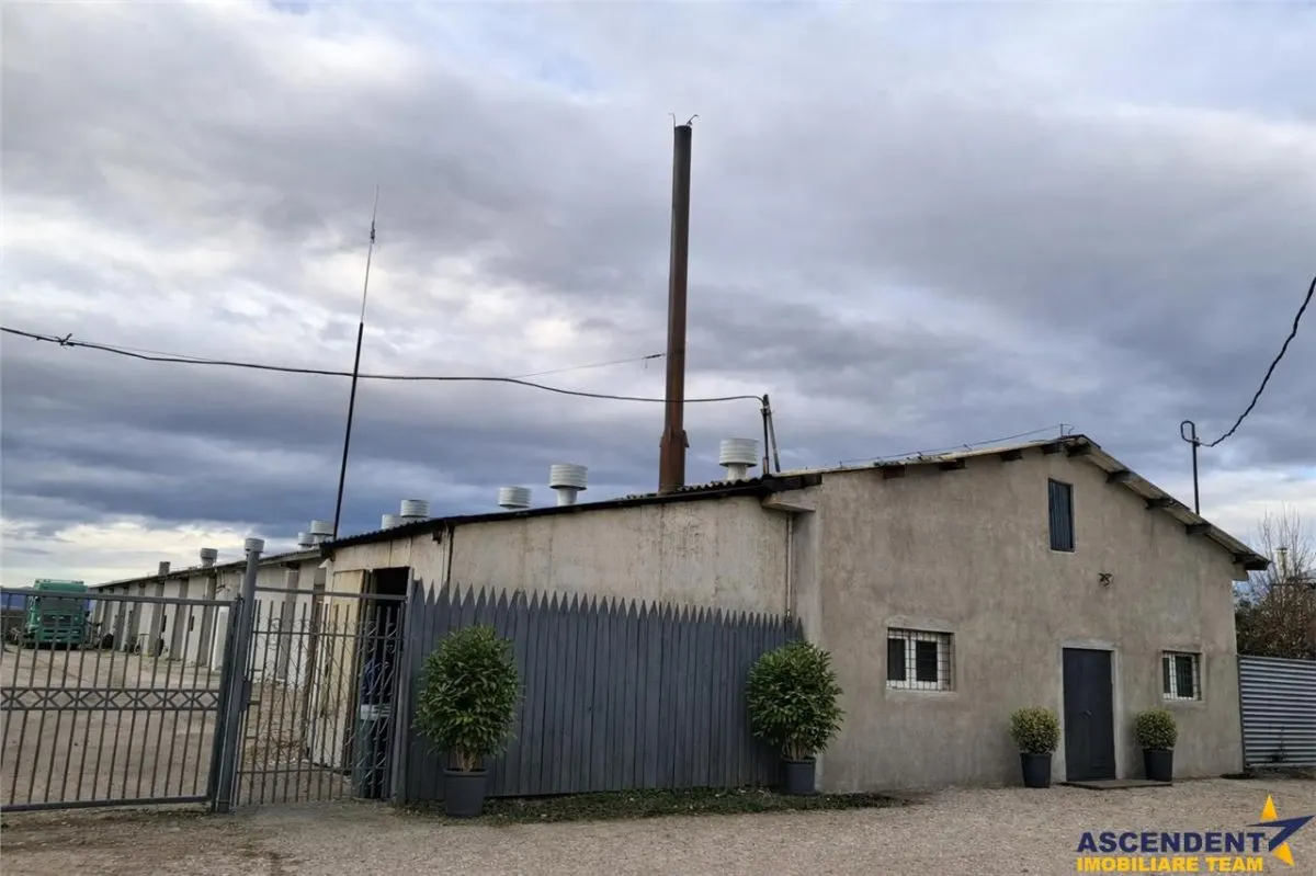 Hala industriala versatila,spatii cazare, platforma betonata,2.300 mp,Halchiu - foto 12