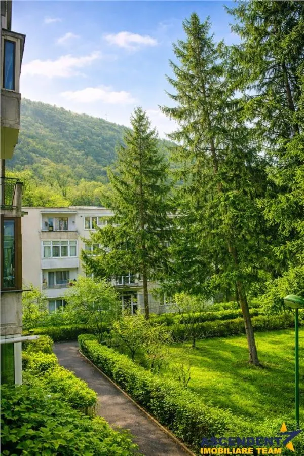 Apartament 2 camere,luminos,incadrat de liniste si verdele naturii,Ultracentral,Brasov - foto 1
