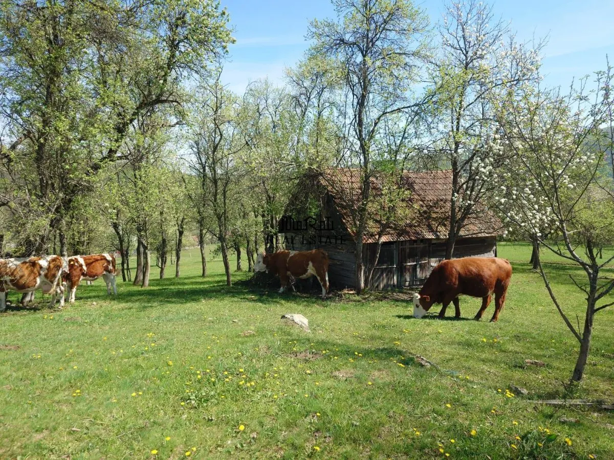 Teren intravilan si extravilan Luncoiu de Jos - foto 1