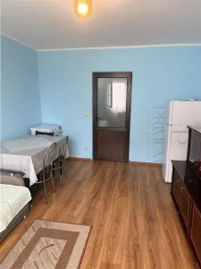 ARADULUI - APARTAMENT 1 CAMERA - mobilat, utilat, decomandat - foto 3