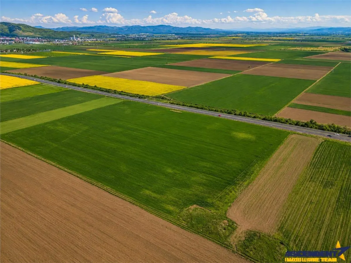 Oportunitate investitie! Teren 47.577 mp, Codlea . Ghimbav, pozitie excelenta la DN 11 - foto 3