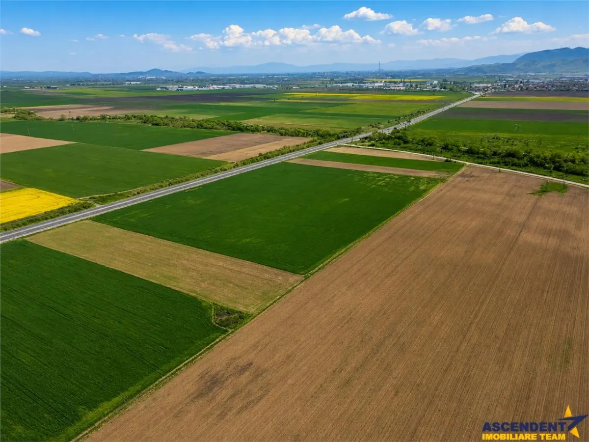 Oportunitate investitie! Teren 47.577 mp, Codlea . Ghimbav, pozitie excelenta la DN 11 - foto 7