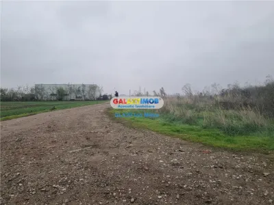 Vanzare teren 10000 mp Pantelimon Acumulatorul - Pantelimon