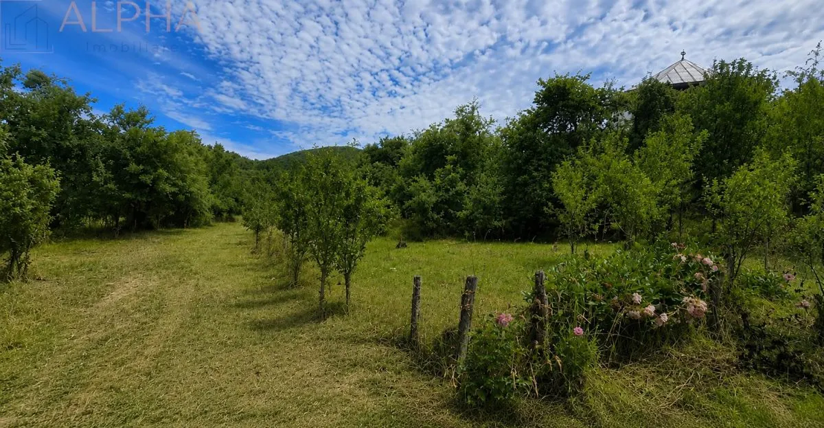 CASA CU TEREN GENEROS IN HERINA, BN â€“ OPORTUNITATE DE INVESTITIE TURISTICA SAU REZIDENTIALA - foto 13
