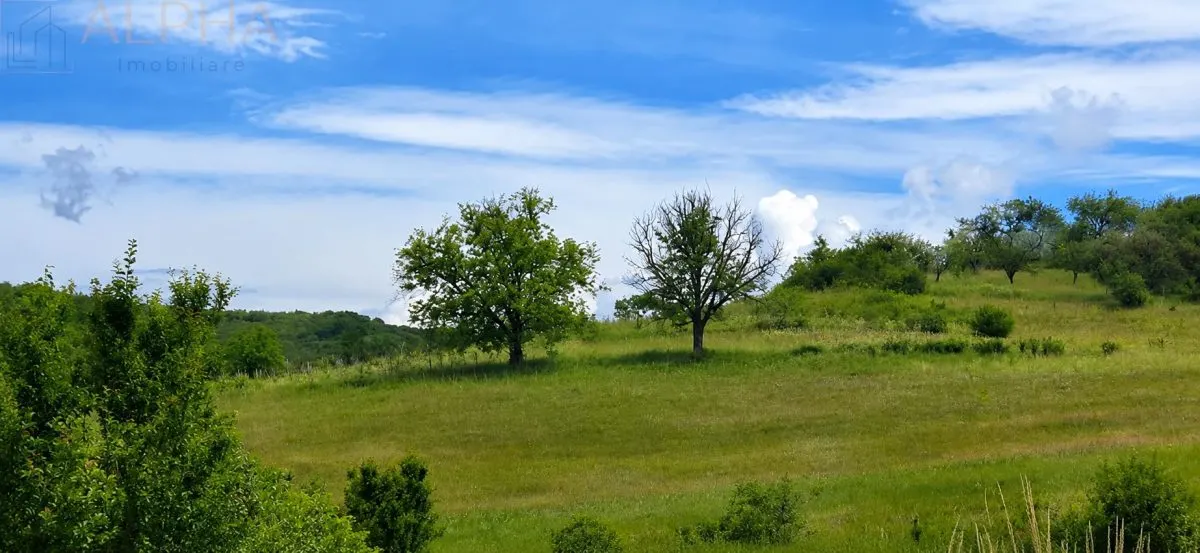 CASA CU TEREN GENEROS IN HERINA, BN â€“ OPORTUNITATE DE INVESTITIE TURISTICA SAU REZIDENTIALA - foto 9