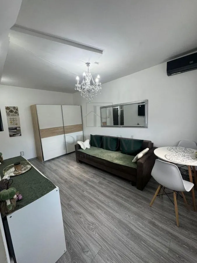 SOARELUI - APARTAMENT 1 CAMERA - mobilat, utilat, etaj intermediar - foto 3
