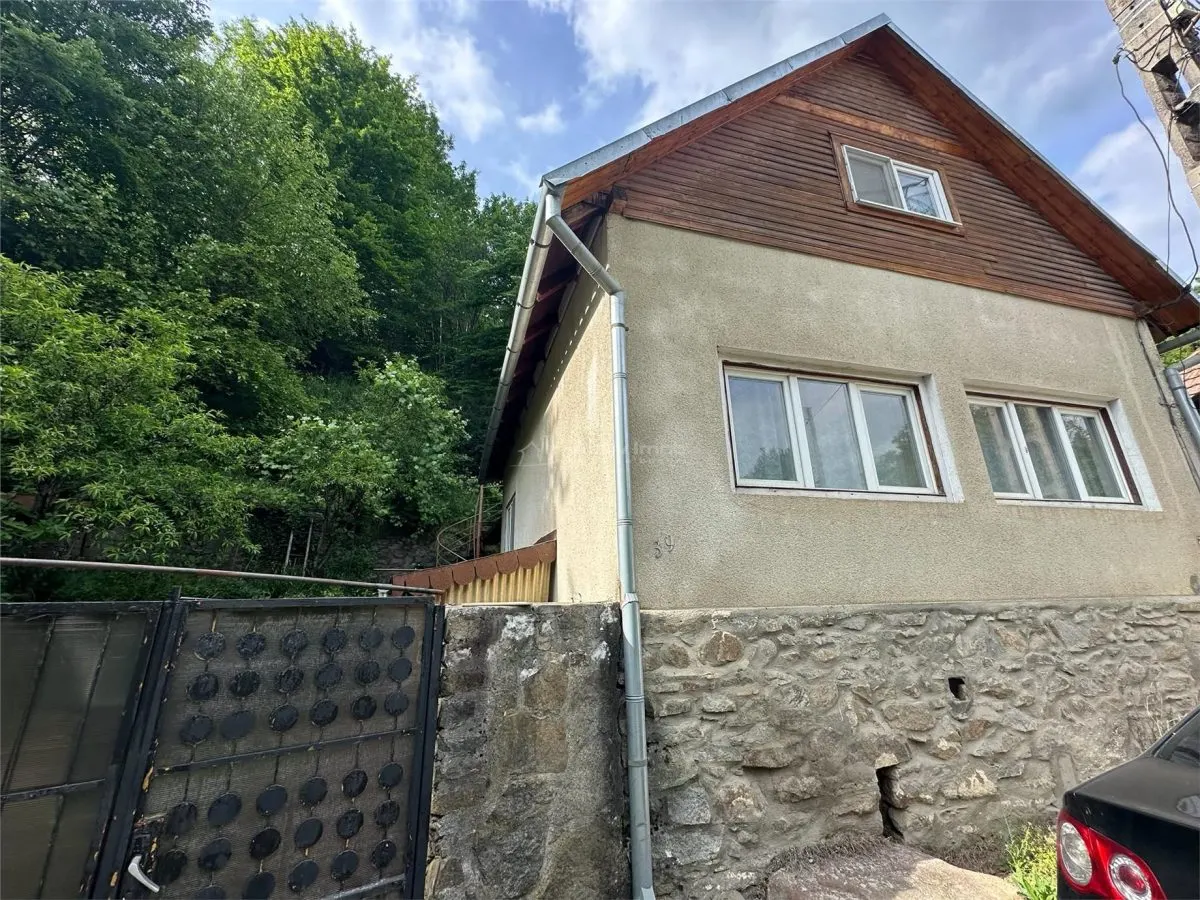 Casa Cocheta de vacanta, Dognecea - foto 11