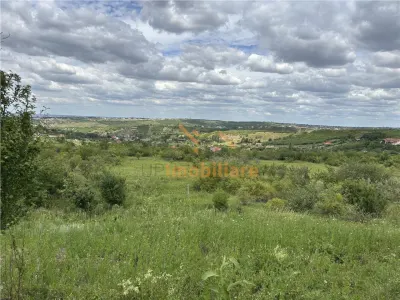 TEREN INTRAVILAN  |  1.824 MP  |  DEALURI  |  ORADEA - foto 3