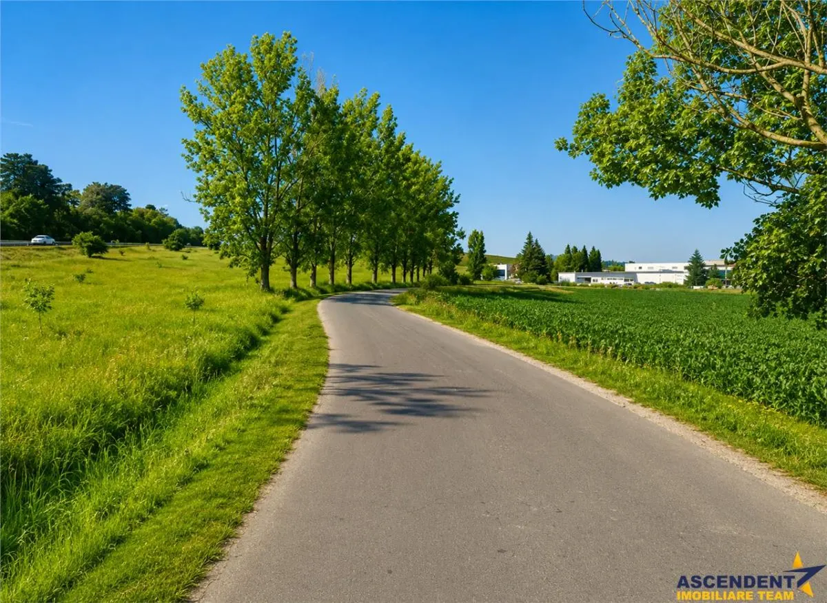 22.500mp oportunitate investitie, teren cu vizibilitate la DN1/ E68, Codlea, Brasov - foto 3