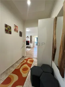 Inchiriere Apartament cu 2 camere Tatarasi Pet Friendly - foto 11