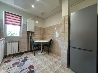 Inchiriere Apartament cu 2 camere Tatarasi Pet Friendly - foto 14