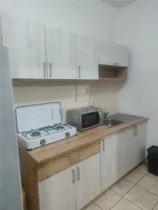 BUZIASULUI - APARTAMENT 1 CAMERA - mobilat, utilat, decomandat - foto 3