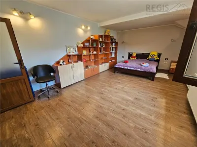 Spatiu Comercial + Casa rezidentiala +curte privata - foto 14