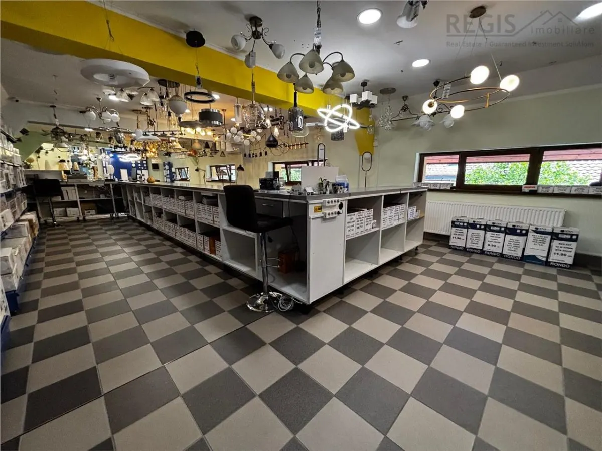 Spatiu Comercial + Casa rezidentiala +curte privata - foto 6