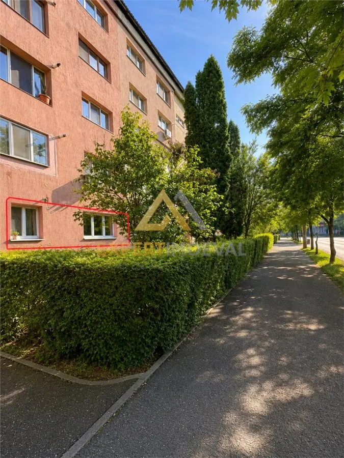 Apartament 3 camere parter inalt 64 mp utili Regele Ferdinand 105 - foto 11