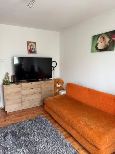 Apartament 2 camere, Central - foto 7