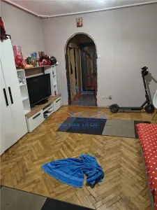 Garsoniera Tatarasi - Flora - Iasi