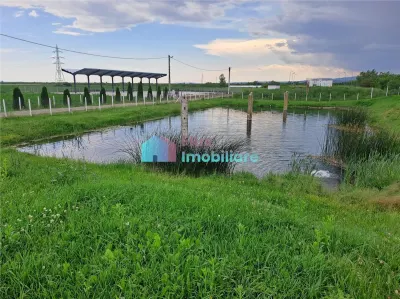 Casa cu teren si iazuri in Fantana Mare - foto 18