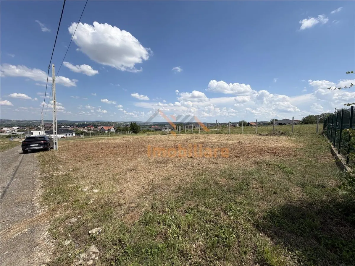 TEREN INTRAVILAN 800 MP | ZONA PALEU | BIHOR - foto 2