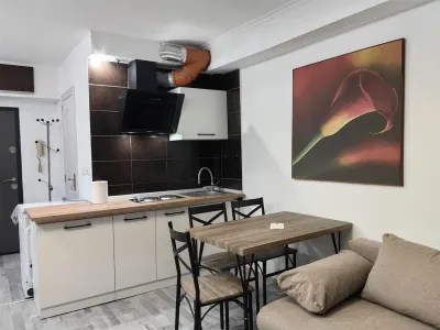 Garsoniera , Cora primul chirias - foto 10