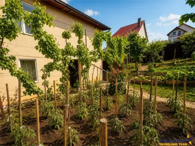 Casa individuala cu 5 camere, garaj, pivnita si curte proprie, Sangeorgiu de Mures. - foto 14