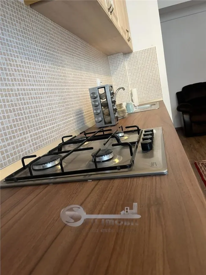 Apartament 1 camera Visoianu - 299 euro - foto 6