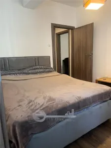 Apartament 1 camera Visoianu - 299 euro - foto 10