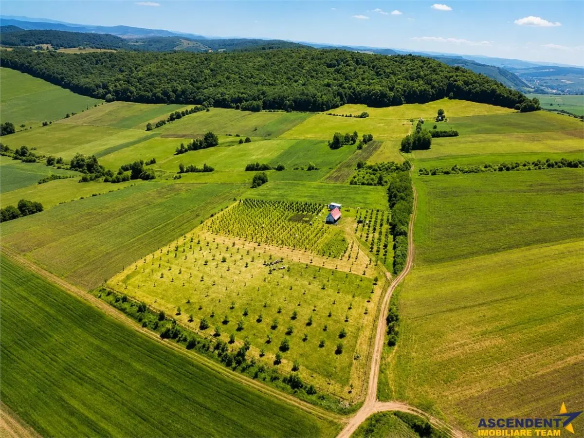 Afacere la cheie, dar si refugiu intr-o oaza de liniste in peisaj pitoresc: 25.624 mp compacte/Moișa, Mureș - foto 1