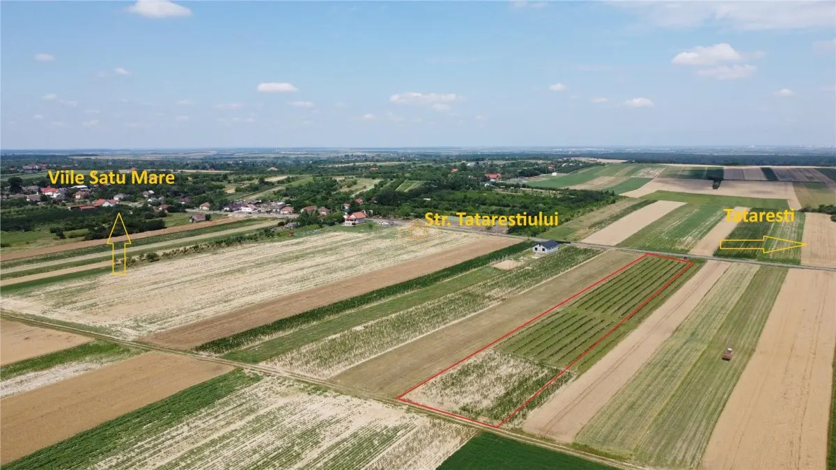 Teren intravilan cu plantatie | Posibilitate de parcelare - foto 1