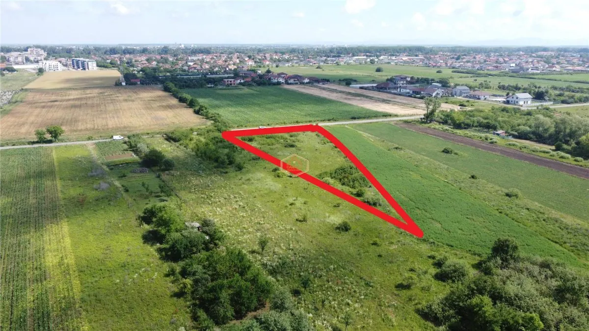 Investitie | Teren 4.030 mÂ² in Satu Mare | Amatiului - Drum asfaltat - foto 4