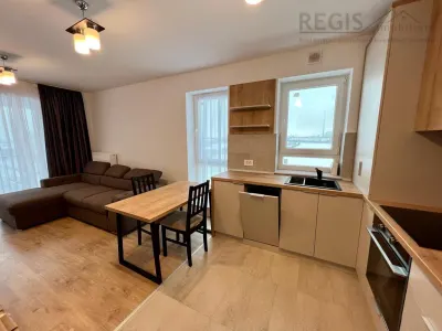 Apartament 2 camere open space Coresi (Kasper) - foto 6