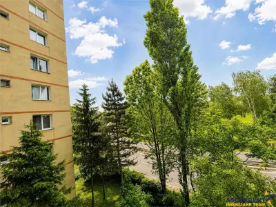 Etaj intermediar, structura particulara, zona placuta,  Grivitei3, Brasov - foto 5