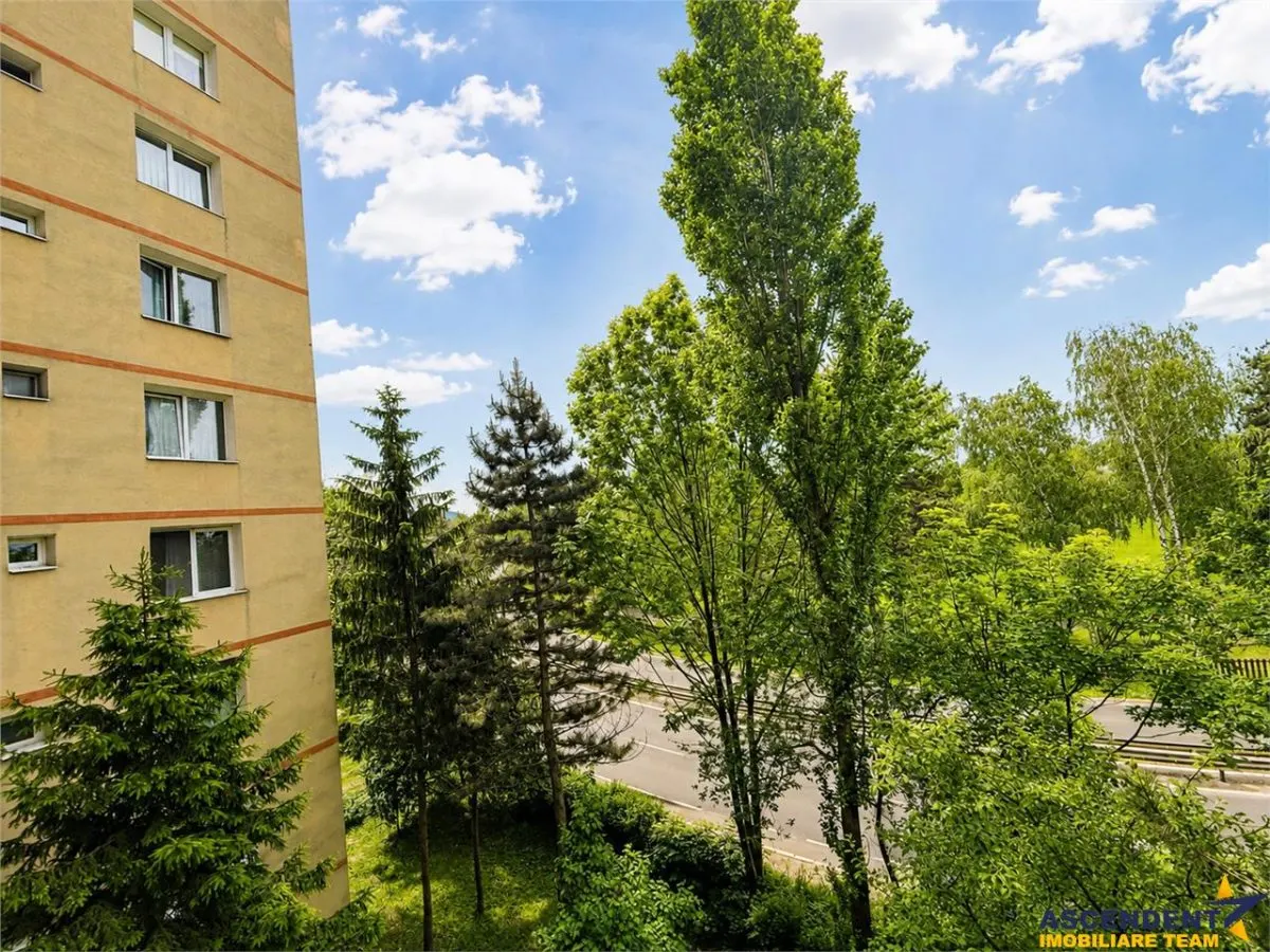Etaj intermediar, structura particulara, zona placuta,  Grivitei3, Brasov - foto 5