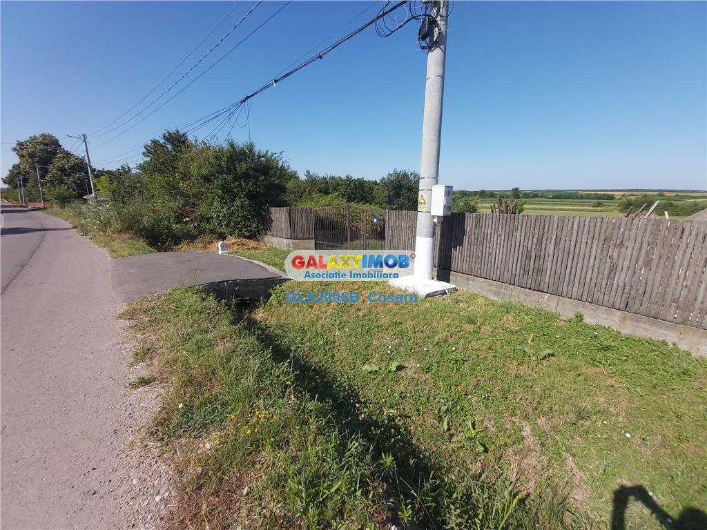 TEREN DE VANZARE BUTURUGENI GIURGIU - foto 9