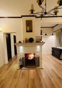 Vila Eleganta Dorobanti - foto 3