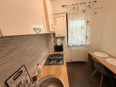 Apartament 2 Camere | Concept Residence | Petru Poni | Pet Friendly - foto 5
