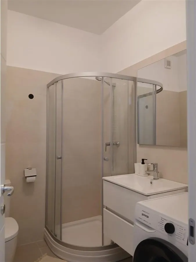 Apartament  3 camere  Titan  Parc  Parc - foto 9
