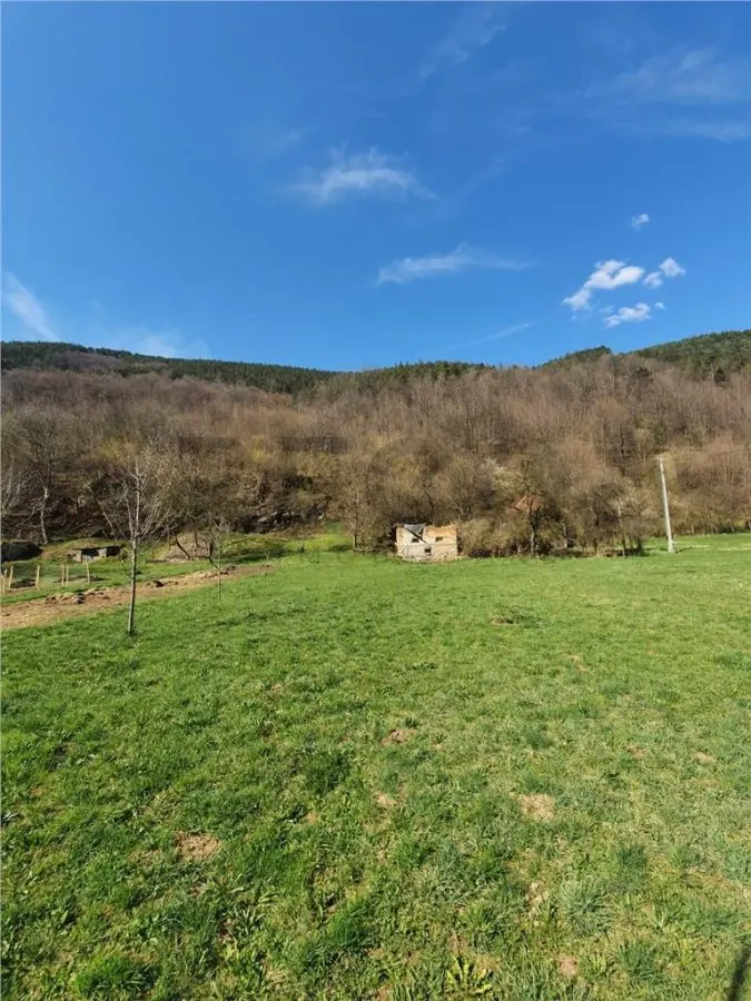 RECO Teren intravilan zona Bulz - foto 1