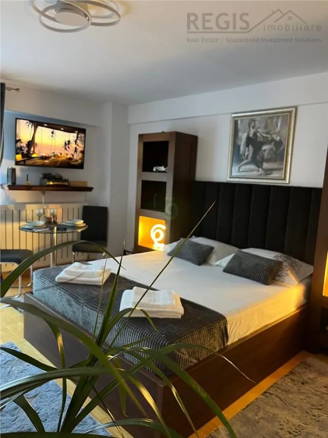 Studio elegant de inchiriat - foto 3